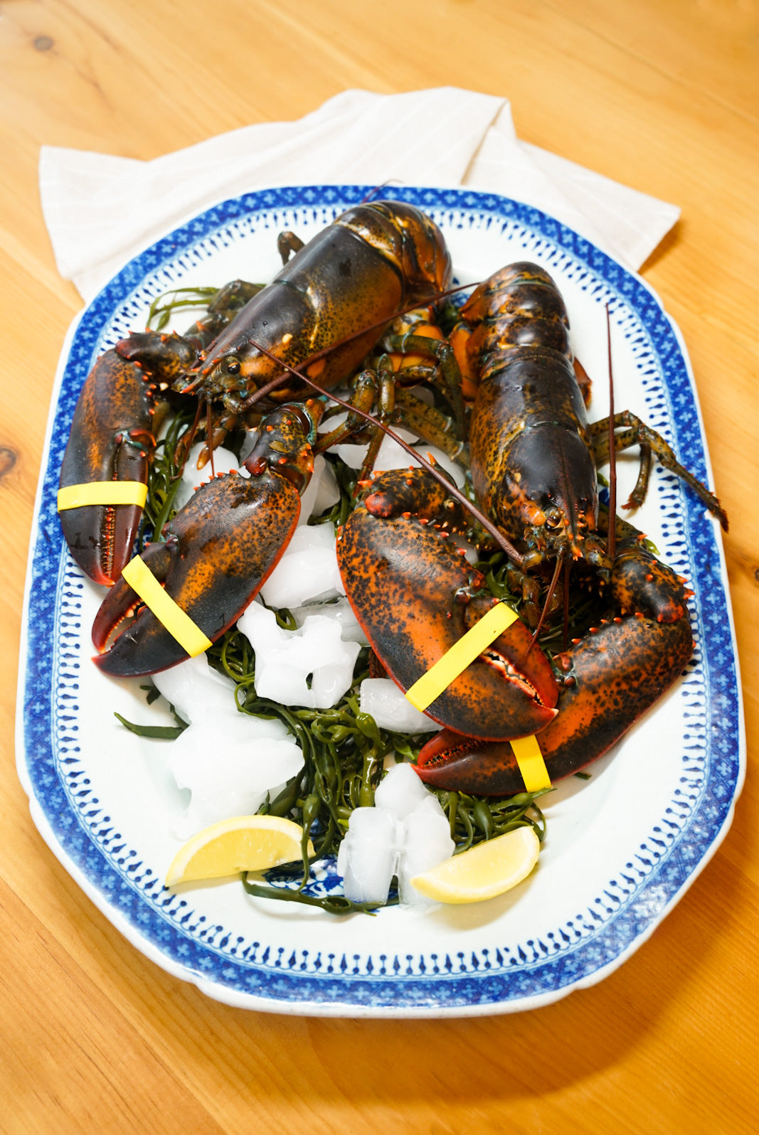 Live Maine Lobster 1 - 1.25 lb