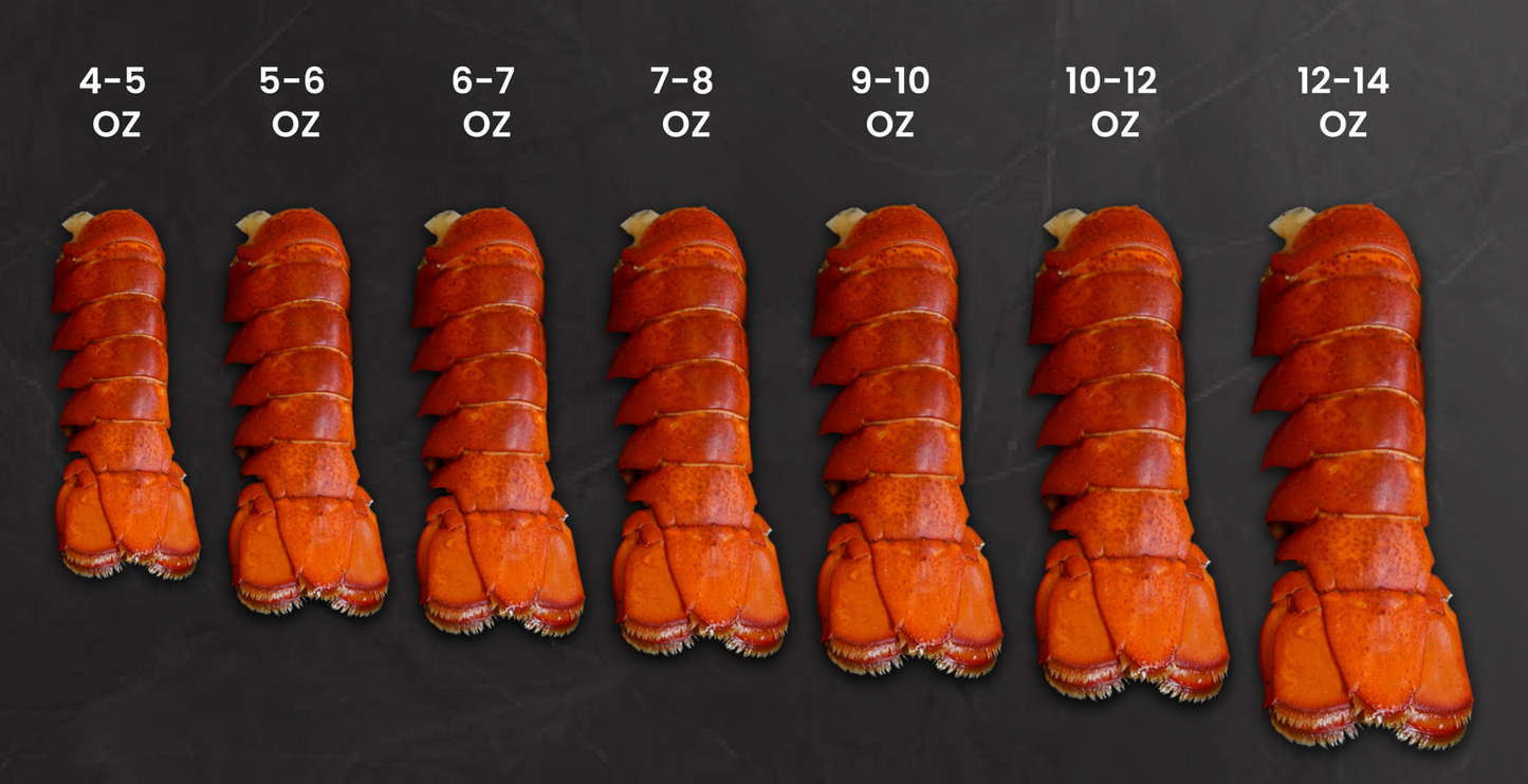 (Flat $60 Off) Maine Lobster Tail (6-7 oz) - 10 Tails