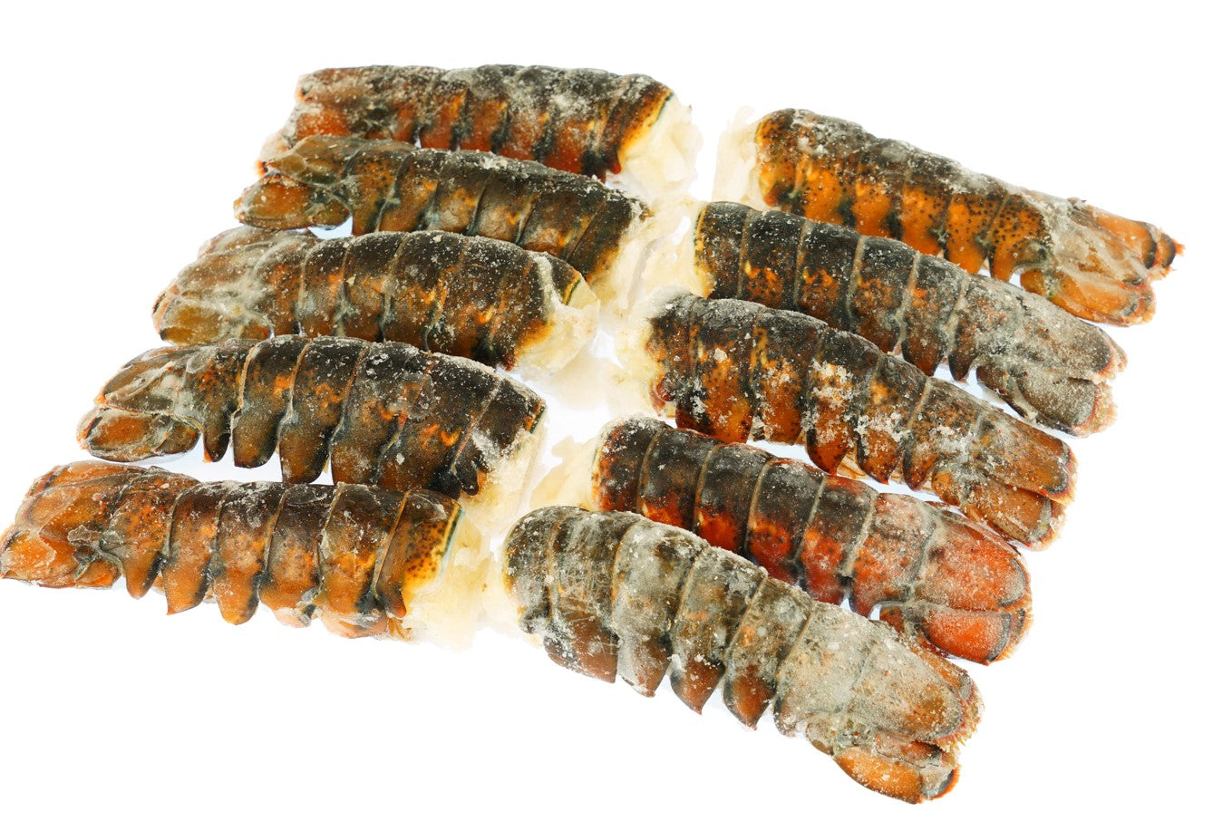 Maine Lobster Tails - 12 Pack